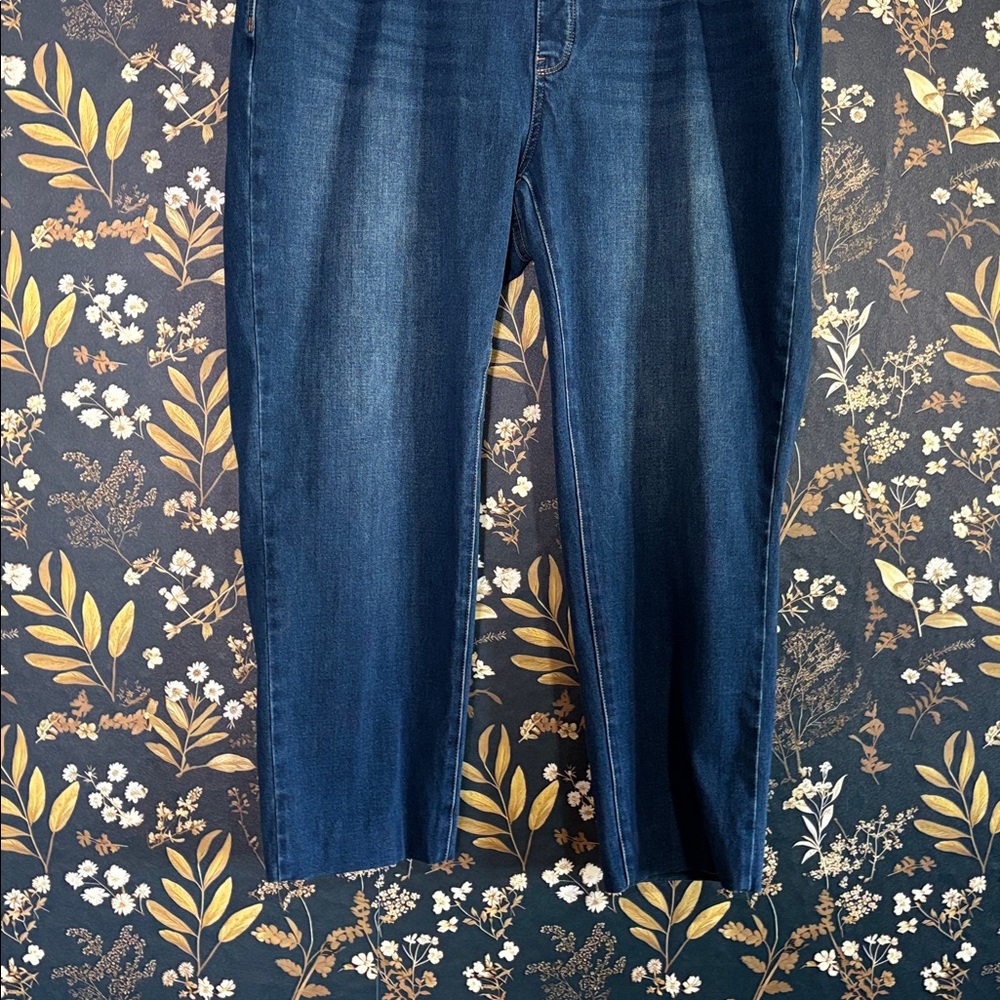 Soft Surroundings Pull On Dark Blue Denim Jeans Size 1X - Picture 3 of 8